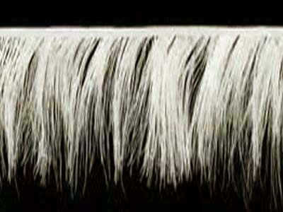 Ostrich feather fringe - IVORY (Elefántcsontszínű)